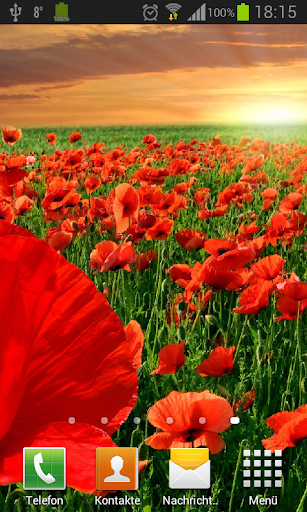 Android application Poppies live wallpaper screenshort