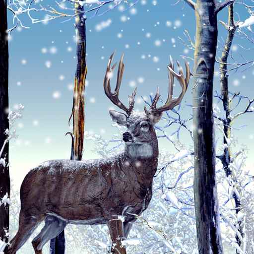 Winter Forest Live Wallpaper Apps Bei Google Play