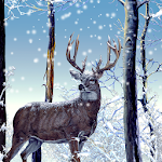 Cover Image of Baixar Papel de parede animado Floresta de inverno  APK