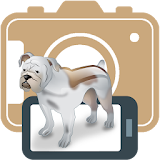 Selfie Dog for Pets icon