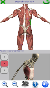 Visual Anatomy 2 APK (Paid) 4