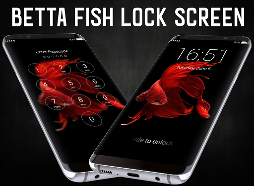 Android application Betta Fish Lock Screen screenshort