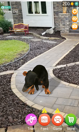Talking Dogs AR Screen 2