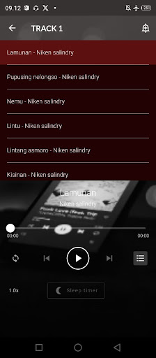 Lamunan Niken Salindry