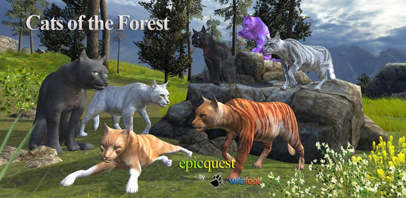 Cats of the Forest