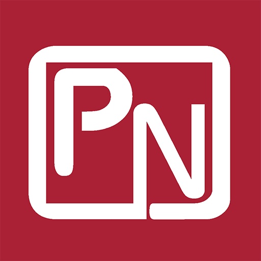 PNB Commercial Money logo