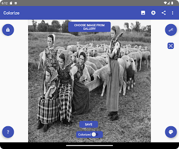 Screenshot image
