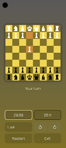 Chess Game Offline 2 Player Unknown
