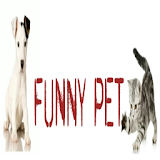 Funny Pet Shop icon