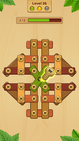 Game screenshot Wood Screw: Nuts And Bolts hack