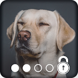 4K Labrador Cute & Sweety Friend Screen Lock icon