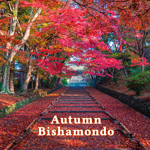 Autumn Bishamondo Theme logo