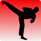 Taekwondo training icon
