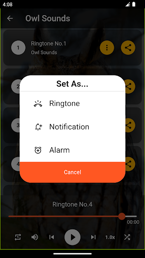 Owl Ringtones Screen 3
