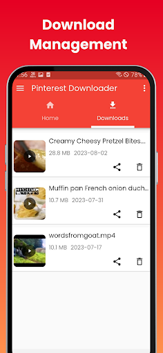 Pinterest Video Downloader Screen 2