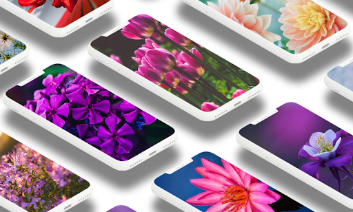 Android application Flowers Wallpaper screenshort