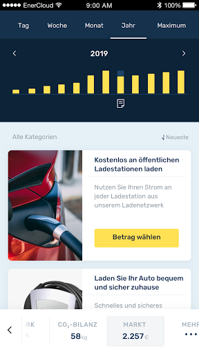 Pfalzwerke EnerCloud Screen 3