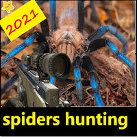 Spiders hunting .Hunter & Shooter 3D Hunting Games