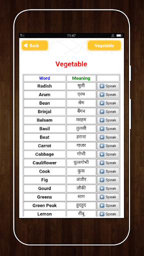 Common Words English to Hindi Screen 3