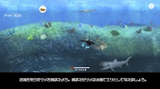 シャチ育成と海の哺乳類たちのおすすめ画像2