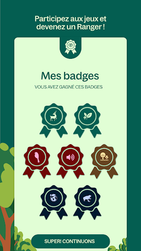 Aperçu de l'application