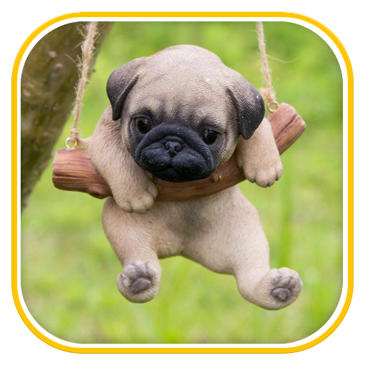 Puppy Wallpapers 1.1 Icon
