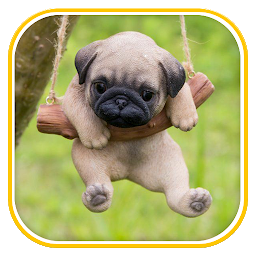 Icon image Puppy Wallpapers