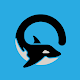 Orca VPN