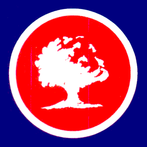 Salyersville National Bank logo