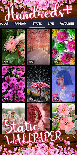 pink flower wallpaper Screenshot 4 - AppWisp.com