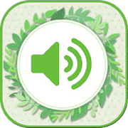 Top 30 Music & Audio Apps Like Zen Relaxing Ringtones‏ - Best Alternatives