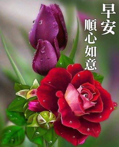 早安-早上好 早安问候图片祝福图片 晚安问候 新年祝福 Screen 3