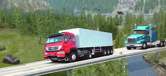 US Euro Cargo Truck Driver