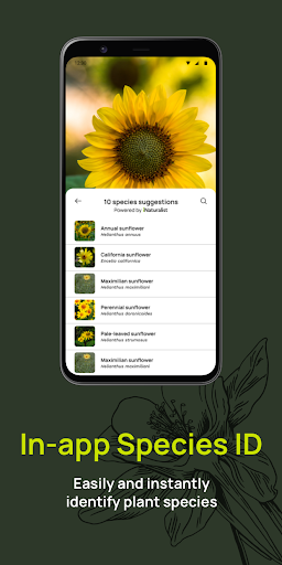 Android application Budburst screenshort