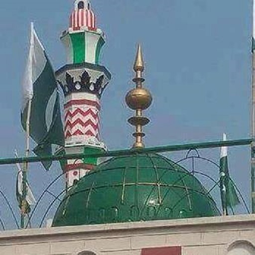 Idara Noor Ul Islam logo