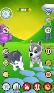 Talking Husky Dog Screenshot