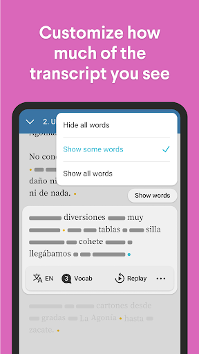 Spanish Fluency for Real Life Screen 3