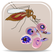 Top 11 Education Apps Like Malaria Vectors - Best Alternatives