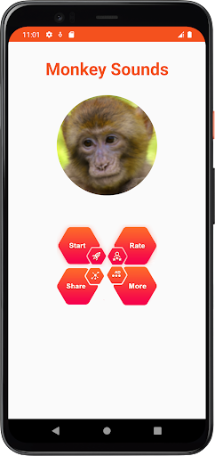 Monkey Sounds Screen 2