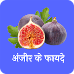 Cover Image of Download अंजीर के फायदे(Benefits of fig) 1.0 APK