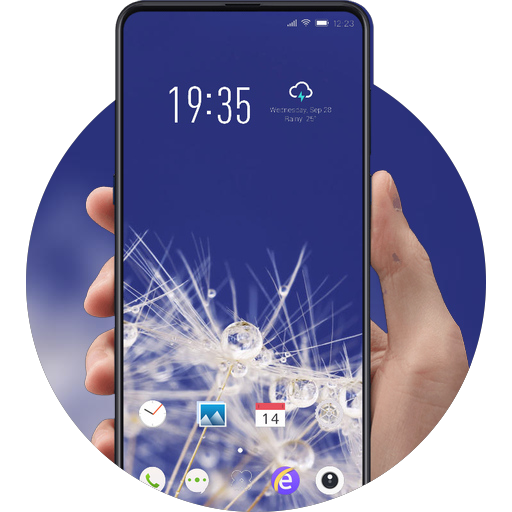 Clear dew on dandelion flower theme