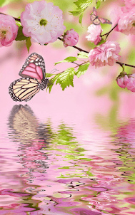Pink Butterfly Live Wallapper