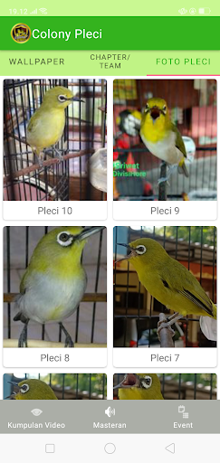 Colony Pleci (Mastering - Heal Screen 3