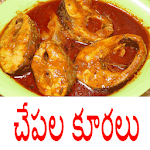 Fish recipes in telugu(specials) Apk