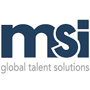 MSI Visa  Icon