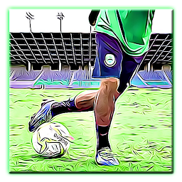 Icon image Soccer Footwork Training