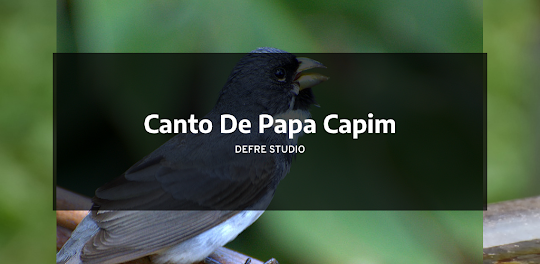 Canto De Papa Capim