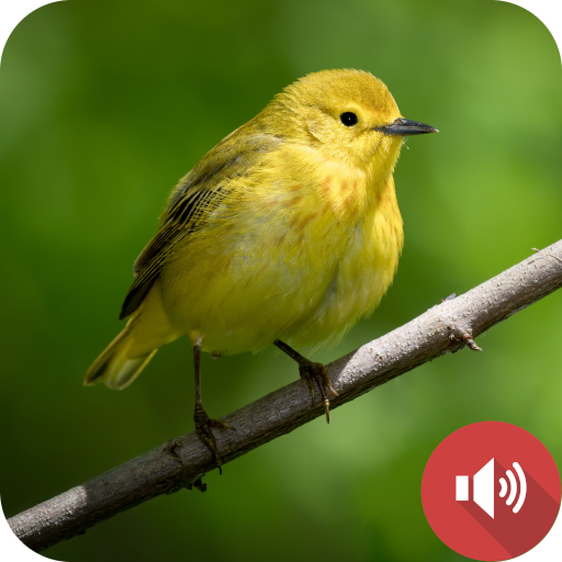 Warbler Bird Sounds logo