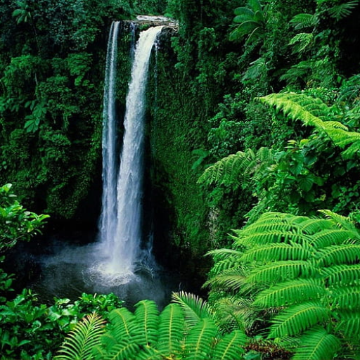 Nature wallpapers android HD logo
