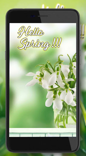 Greetings Spring Day